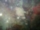 Thumbs/tn_OW102206 054.jpg